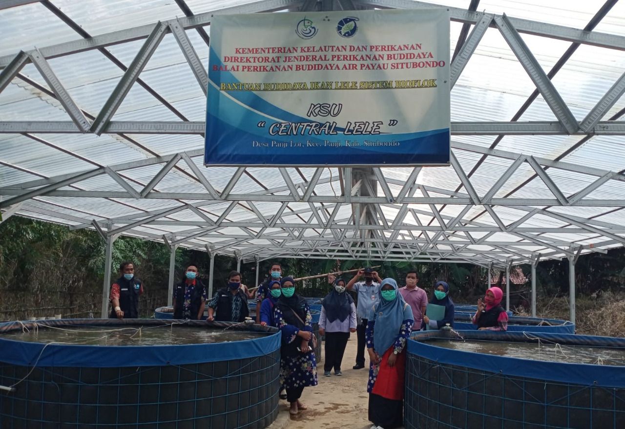 podiumnews.com-Pembudidaya Ikan Beralih ke Sistem Bioflok yang Lebih Menguntungkan